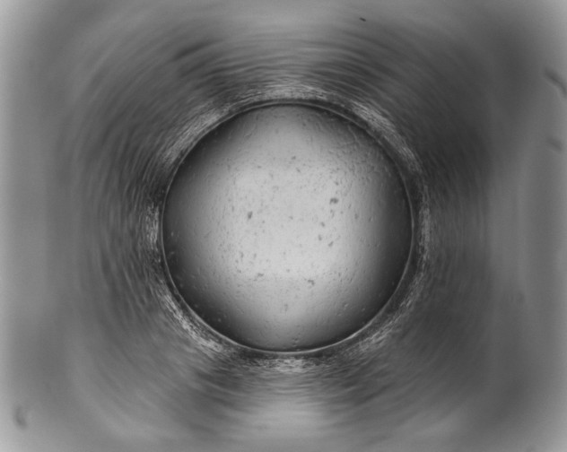 X0000100370841200806201625