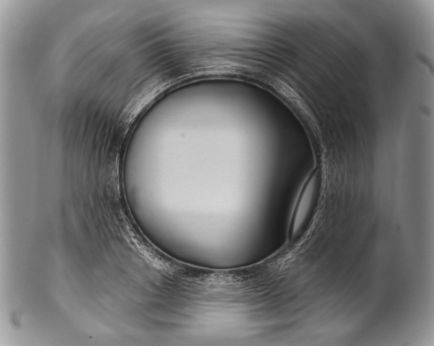 X0000100370842200806201625