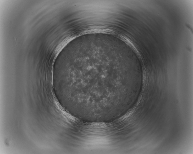 X0000100370844200806201626