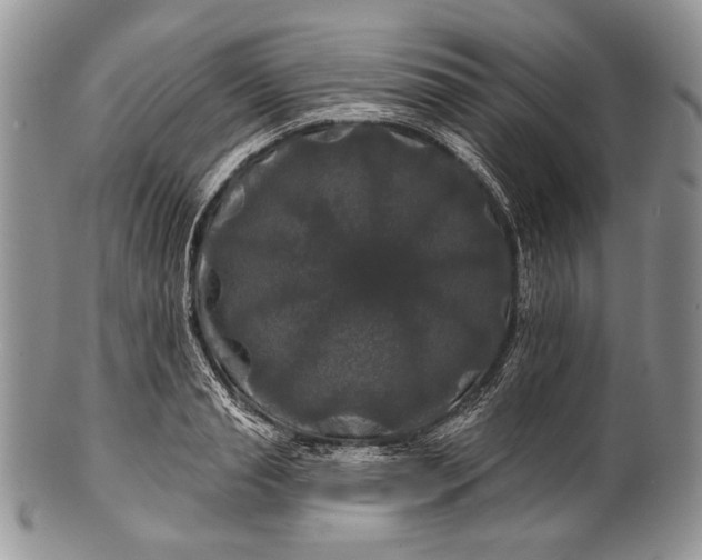 X0000100370845200806201626