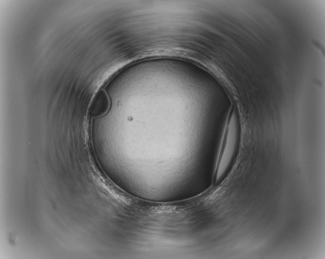 X0000100370846200806201626