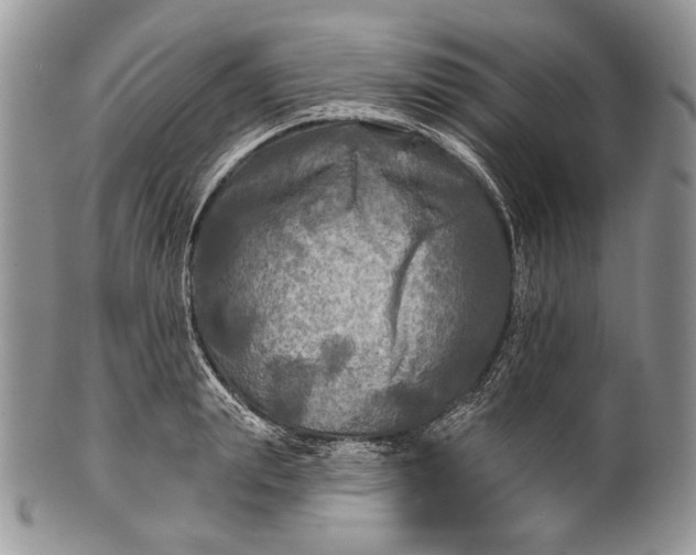 X0000100370847200806201626