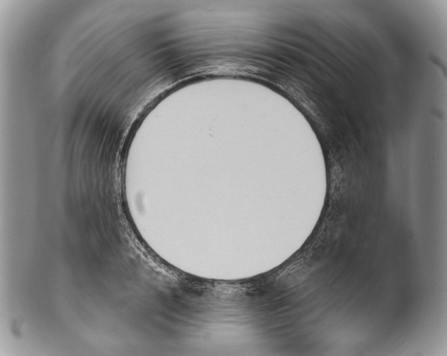 X0000100370848200806201626