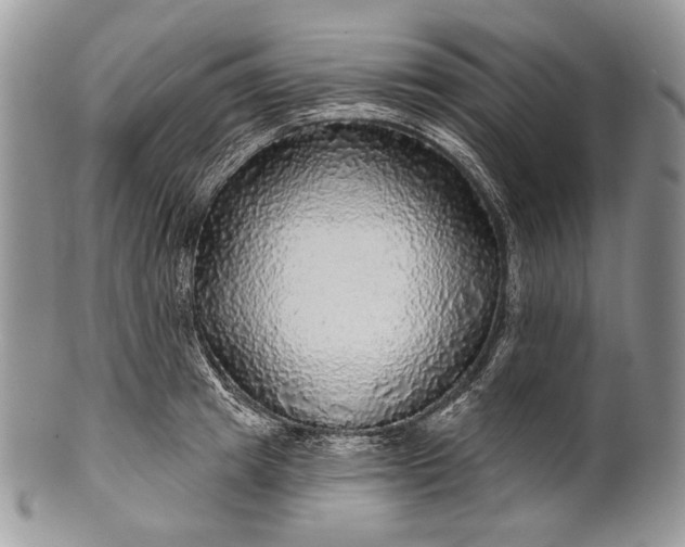 X0000100370849200806201626