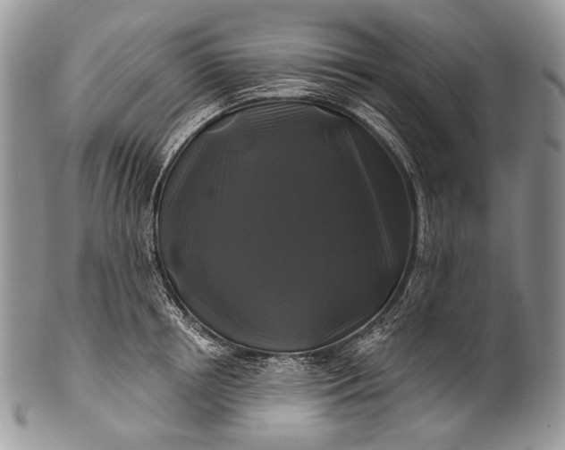 X0000100370850200806201626