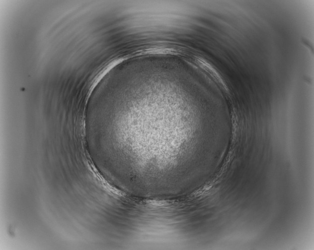 X0000100370852200806201626