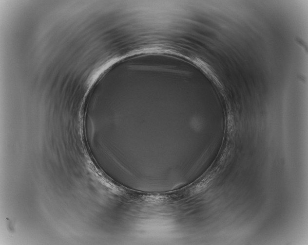 X0000100370854200806201626