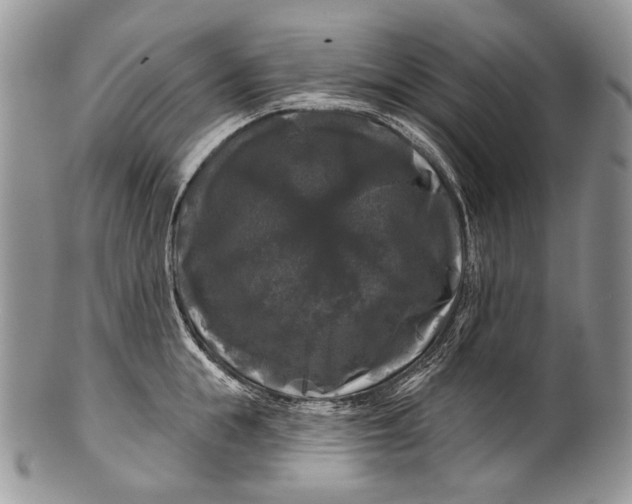 X0000100370855200806201626