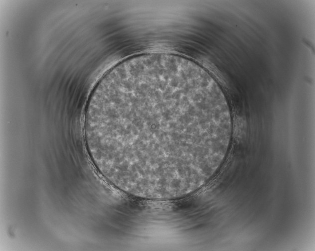 X0000100370856200806201626