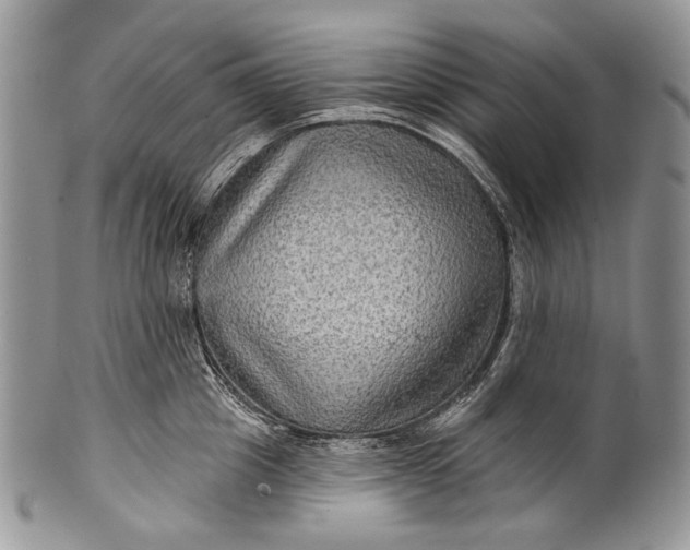 X0000100370857200806201626