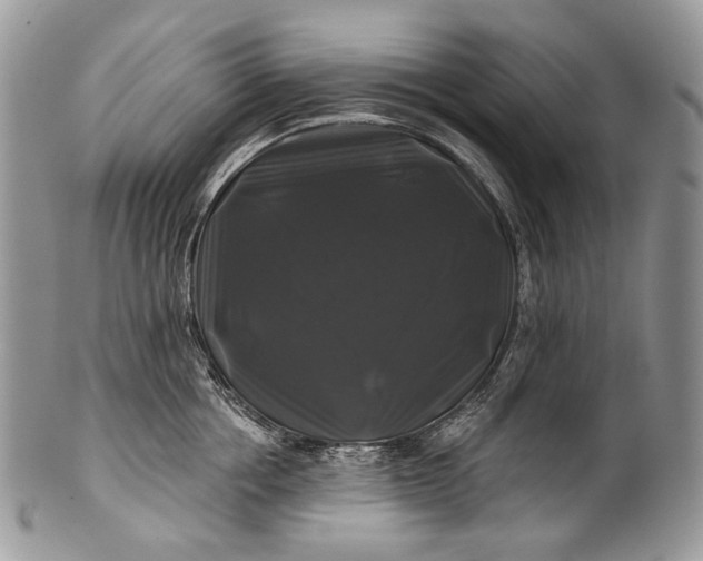 X0000100370858200806201626