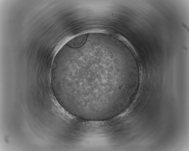 X0000100370860200806201626