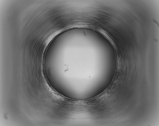 X0000100370861200806201626