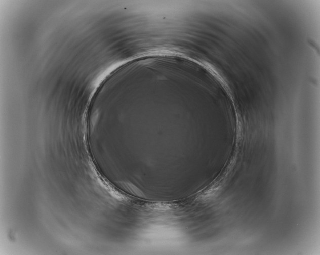 X0000100370862200806201626