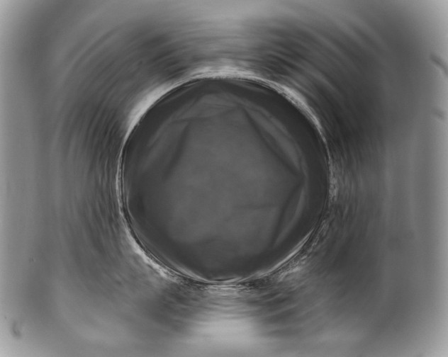 X0000100370863200806201626