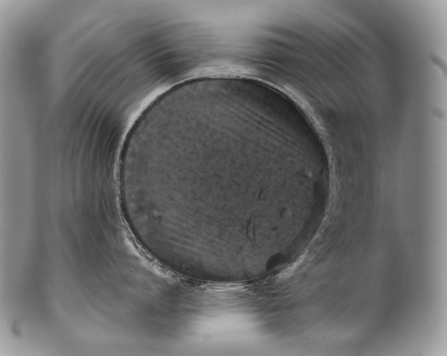 X0000100370864200806201626