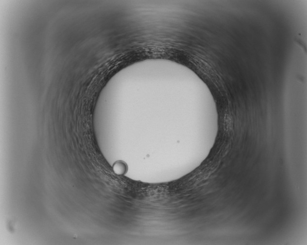 X0000100370865200806201625