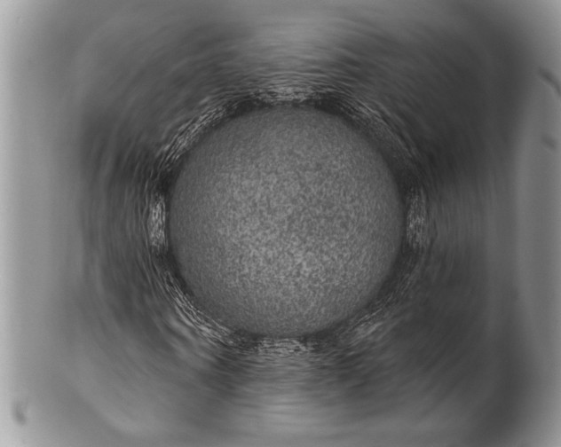 X0000100370866200806201625