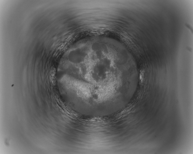 X0000100370867200806201625