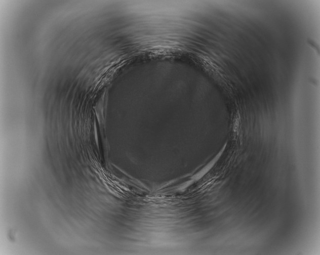 X0000100370868200806201625