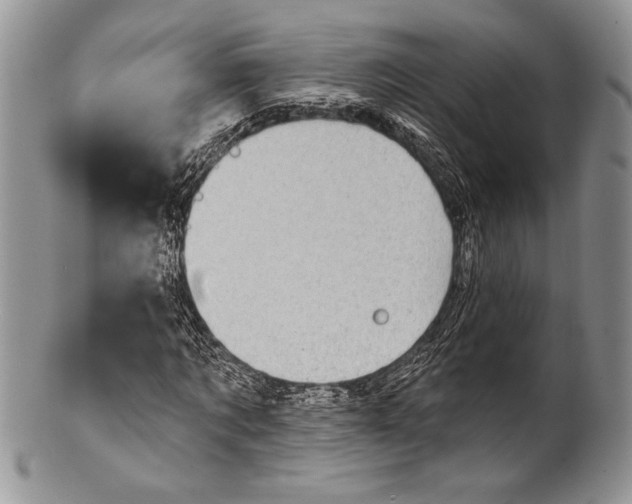 X0000100370869200806201625