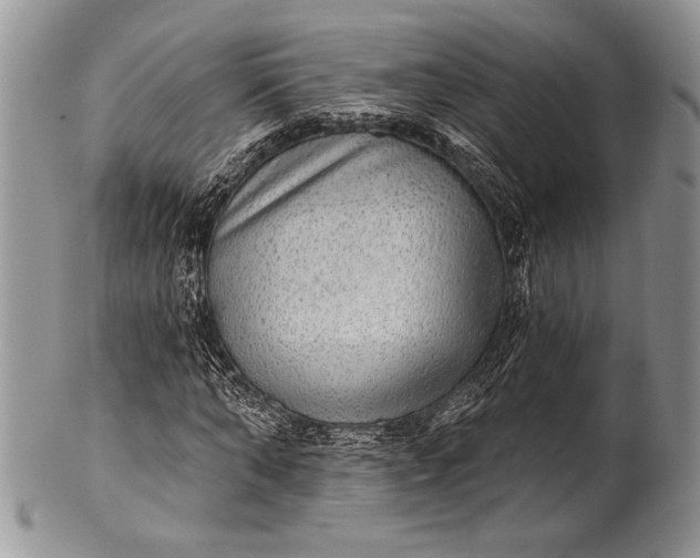 X0000100370870200806201625