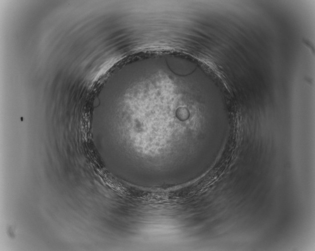 X0000100370871200806201625