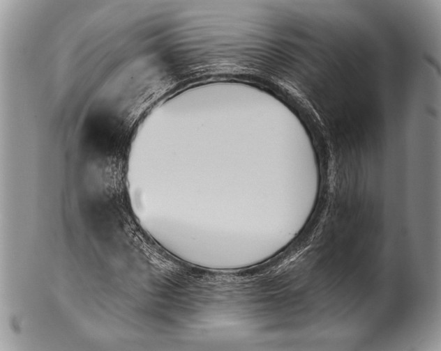 X0000100370873200806201625