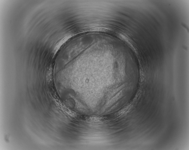 X0000100370875200806201625