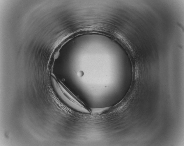 X0000100370876200806201625