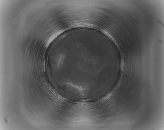 X0000100370877200806201625