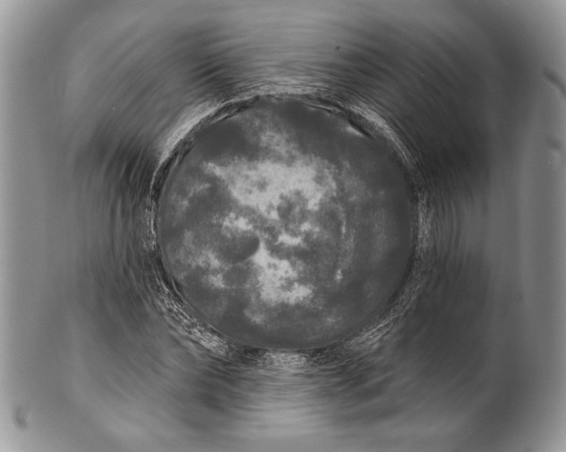 X0000100370878200806201625