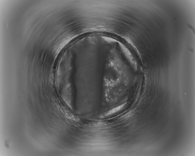 X0000100370879200806201625