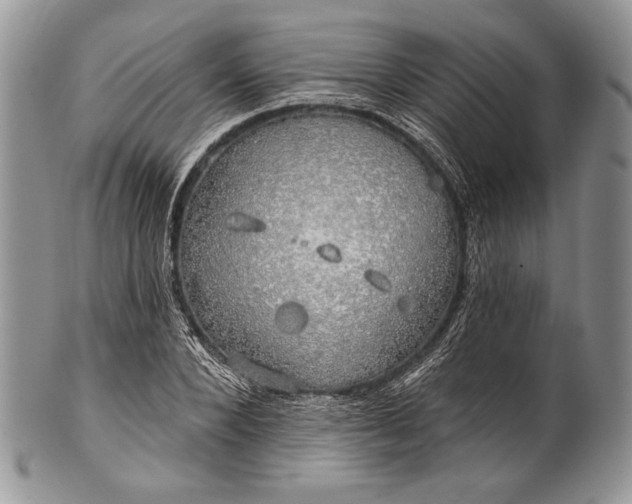 X0000100370880200806201625