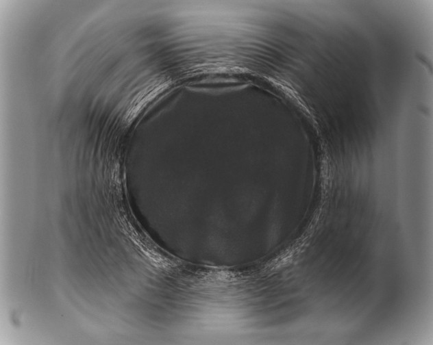 X0000100370881200806201625