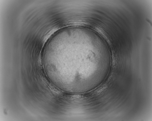 X0000100370883200806201625