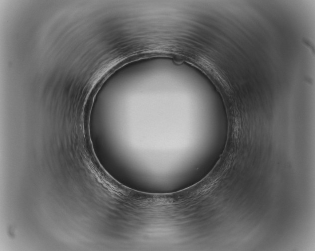 X0000100370884200806201625