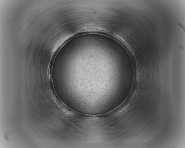 X0000100370885200806201625