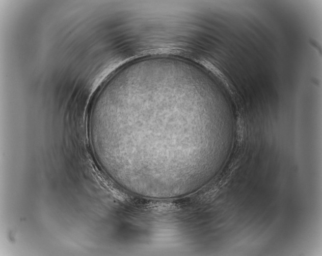 X0000100370886200806201625