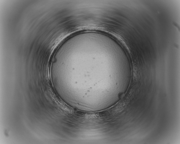 X0000100370887200806201625