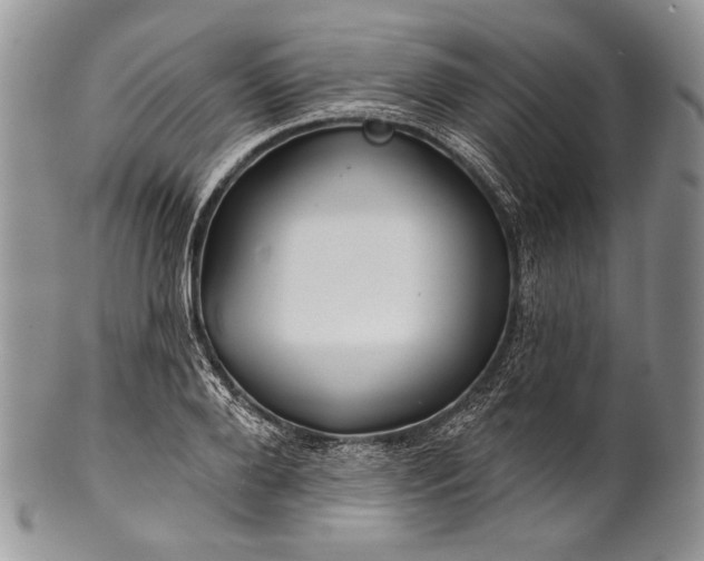 X0000100370888200806201625