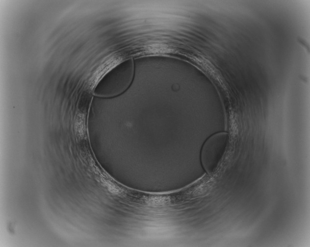 X0000100370889200806201625