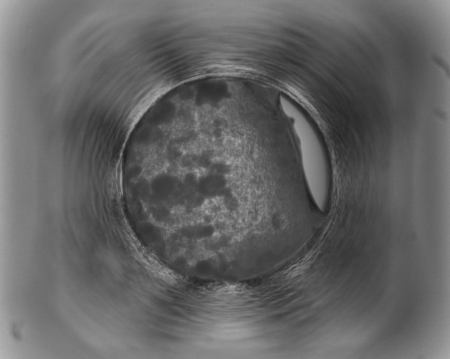 X0000100370891200806201625