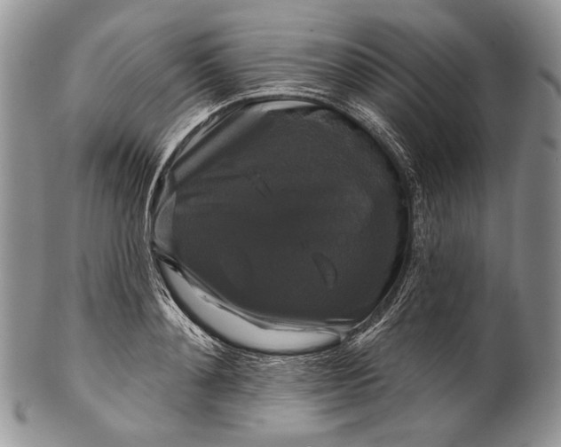 X0000100370892200806201625