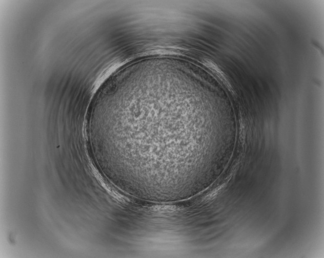 X0000100370893200806201625