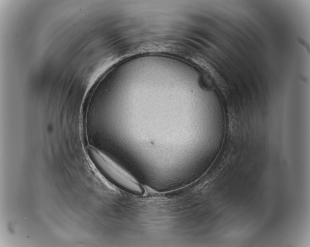 X0000100370894200806201625