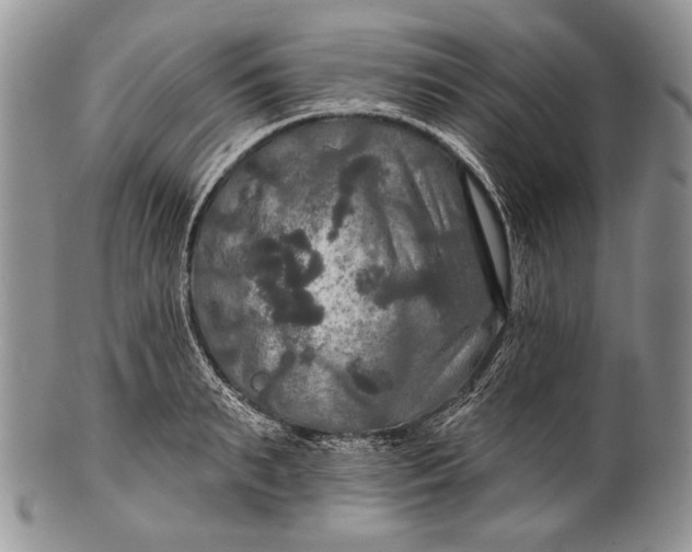 X0000100370895200806201625