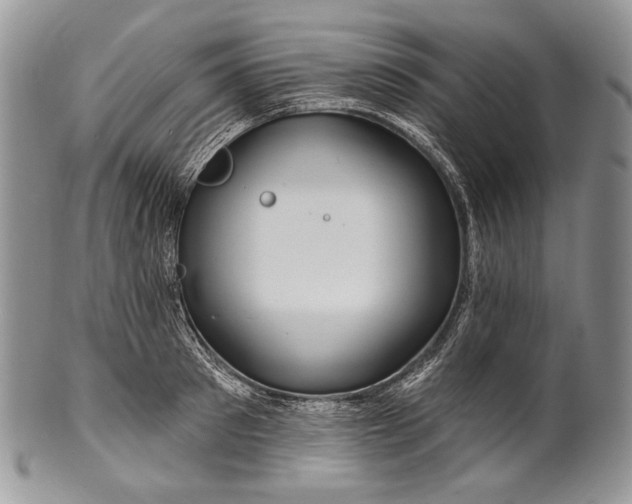 X0000100370897200806201625