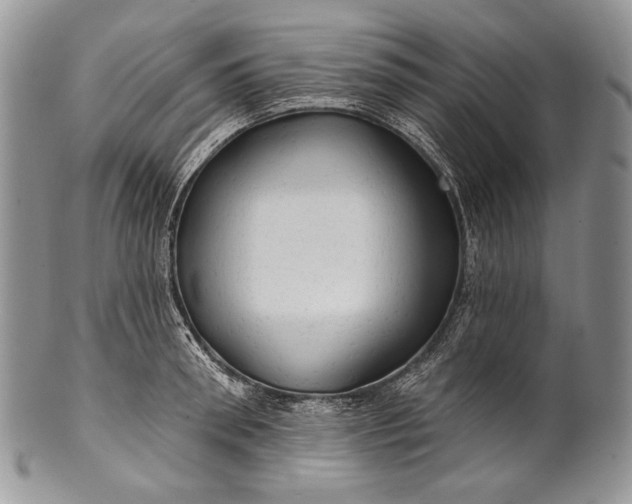 X0000100370898200806201625