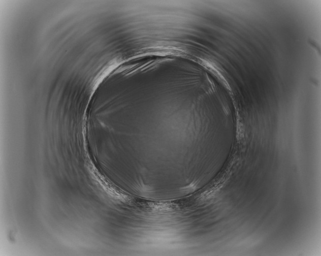 X0000100370899200806201625